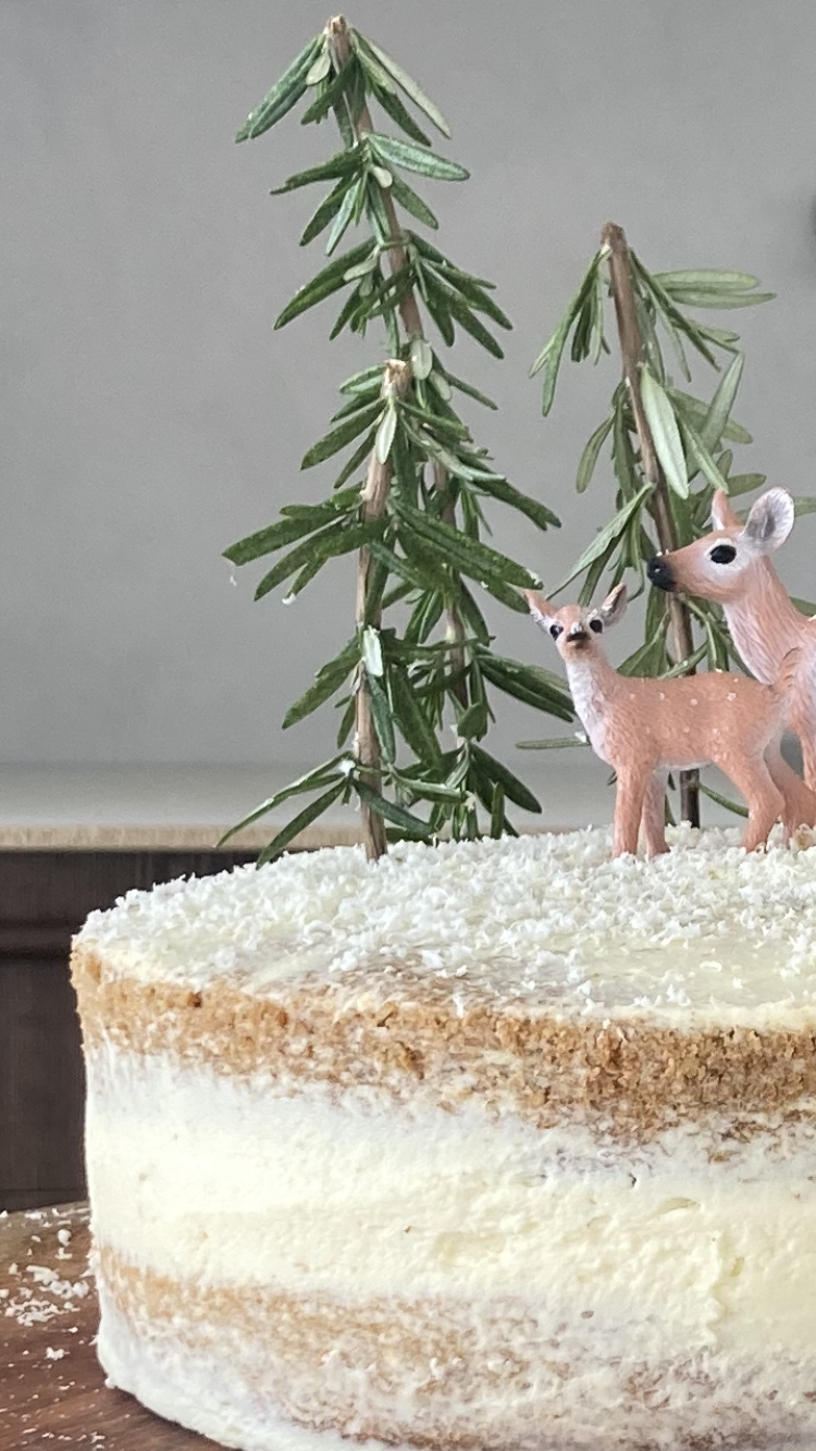 Spiced Vanilla Christmas Cake - Limited edition