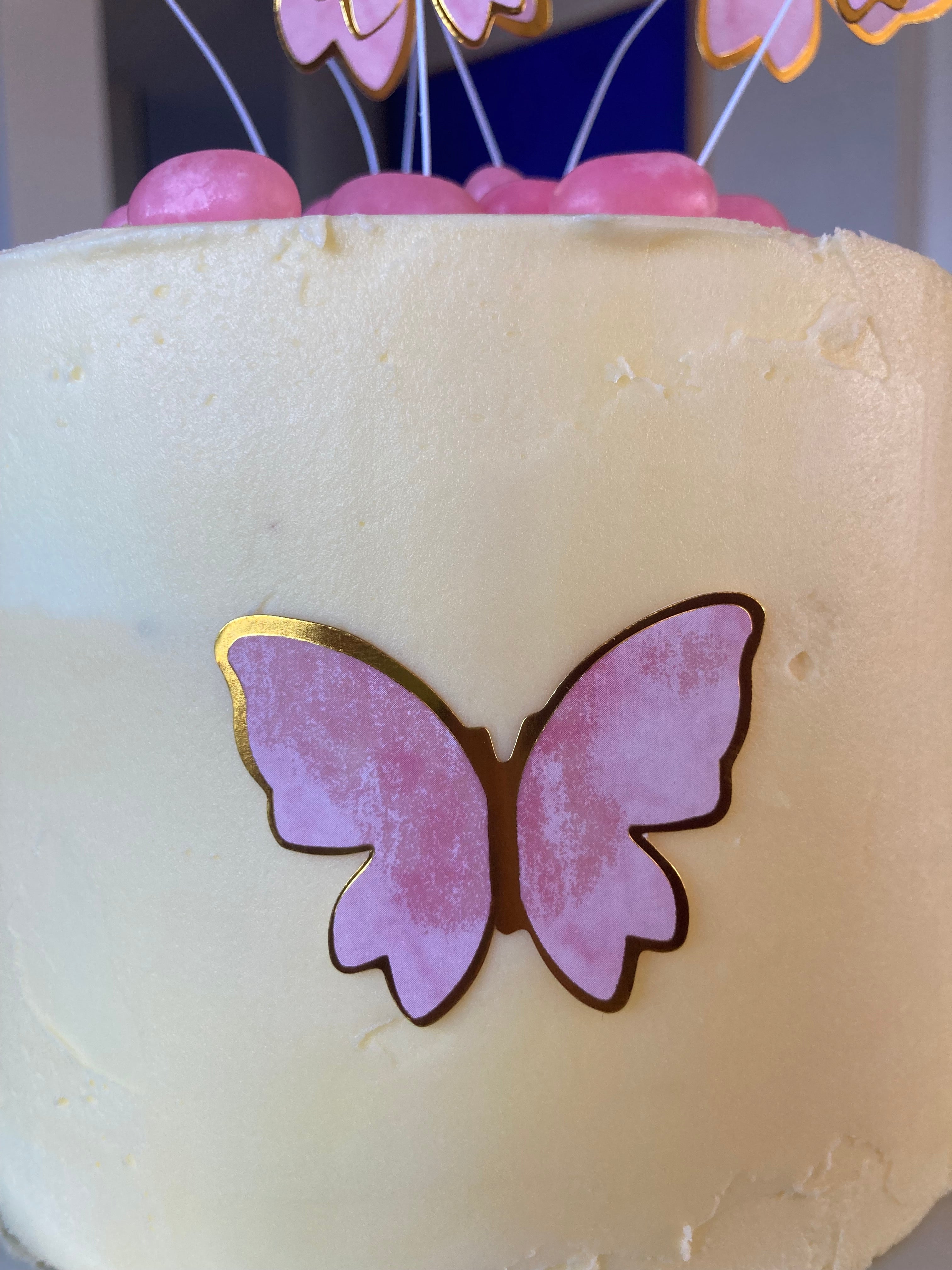 Butterfly cake